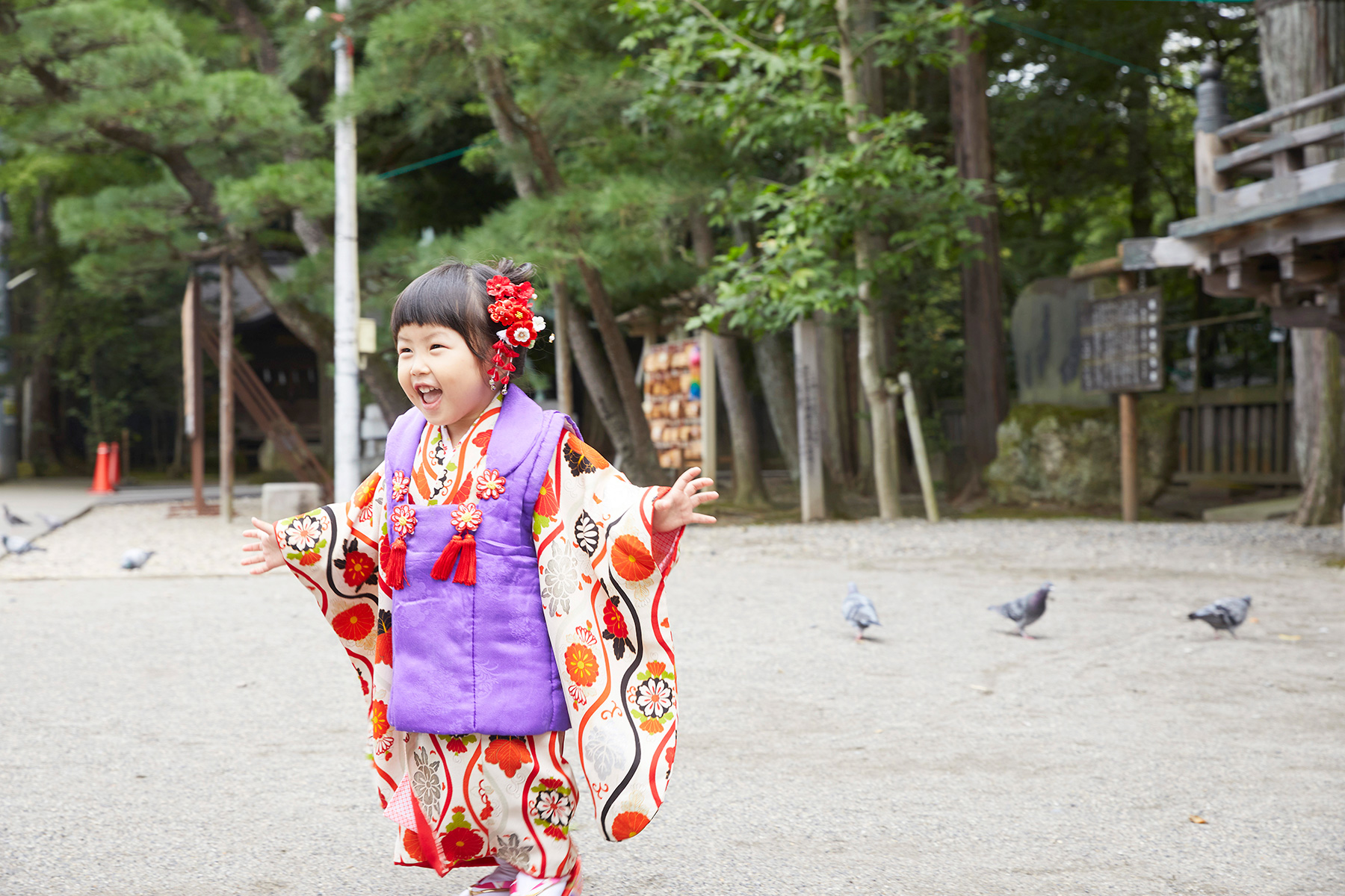 屋外での撮影、七五三